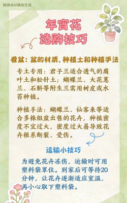 养花陶粒，提升植物生长，优化土壤环境