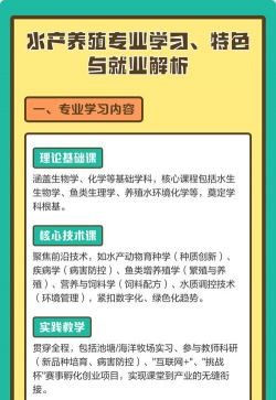 养花陶粒，提升植物生长，优化土壤环境