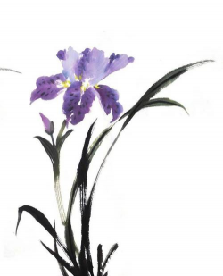 养花陶粒，提升植物生长，优化土壤环境