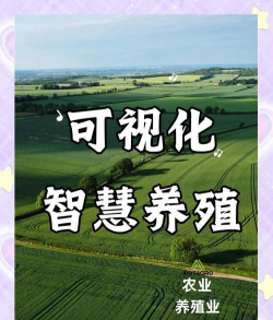 养花陶粒，提升植物生长，优化土壤环境