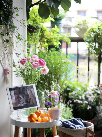 养花工具大全，新手必备清单，轻松打理花草