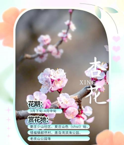 青岛花卉，赏花好去处，本地人推荐指南