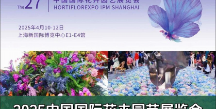 养花语录，记录美好瞬间，传递生活感悟