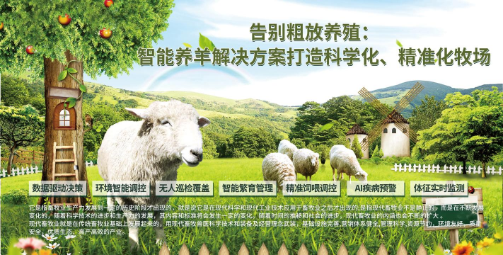 养花语录，记录美好瞬间，传递生活感悟