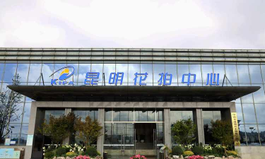 养花语录，记录美好瞬间，传递生活感悟