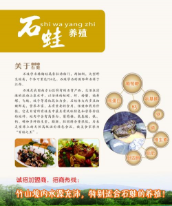 花卉插画，提升艺术氛围，美化生活空间