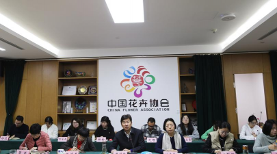 昆明斗南花卉市场价格，了解行情动态，掌握选购技巧