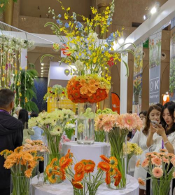 昆明斗南花卉市场价格，了解行情动态，掌握选购技巧