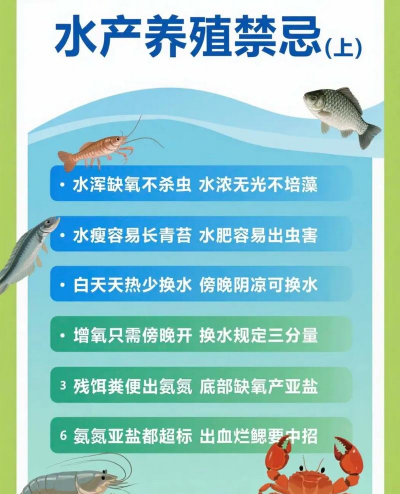 矿泉水瓶养花，废物利用，轻松打造小花园