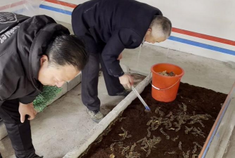 昆明斗南花卉市场价格，了解行情动态，掌握选购技巧