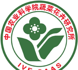 昆明斗南花卉市场价格，了解行情动态，掌握选购技巧