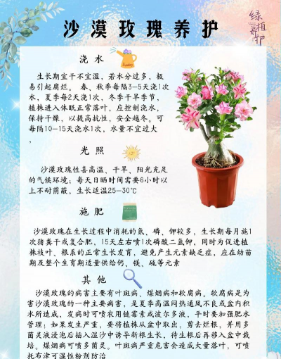 雪碧养花，给植物新活力，探索奇妙生活小妙招