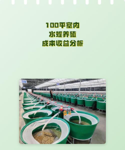 芦荟的养殖方法，轻松掌握技巧，养出健康植株