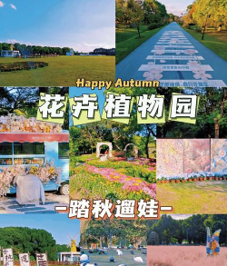 芦荟的养殖方法，轻松掌握技巧，养出健康植株