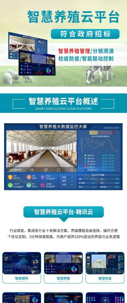 矿泉水瓶养花，废物利用，轻松打造小花园