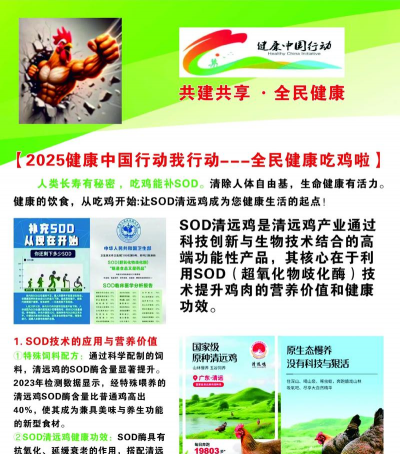 矿泉水瓶养花，废物利用，轻松打造小花园