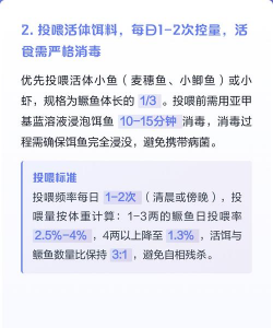 木槿花的养殖方法和注意事项，轻松上手，花开不断