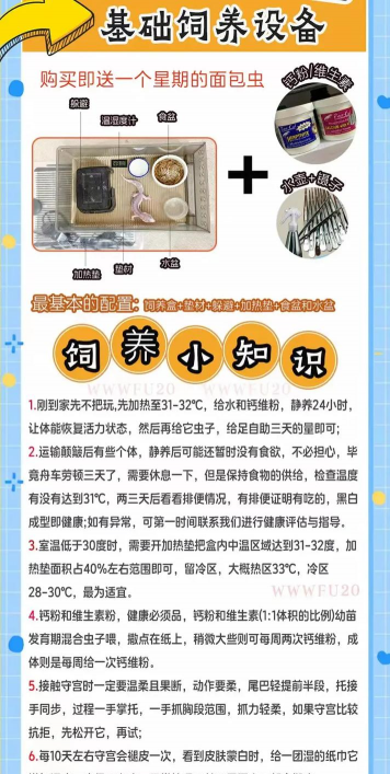 斗南花卉市场营业时间，早点去人少，晚上更热闹