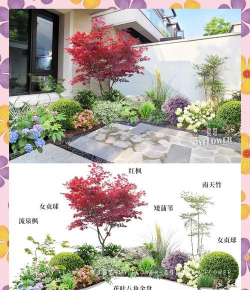 昆明斗南花卉市场价格，了解行情动态，掌握选购技巧