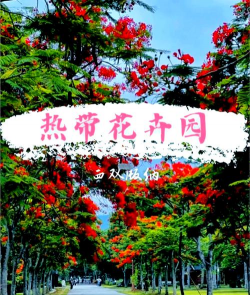 西双版纳花卉园，热带植物天堂，游玩拍照指南