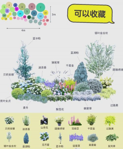 昆明斗南花卉市场价格，了解行情动态，掌握选购技巧