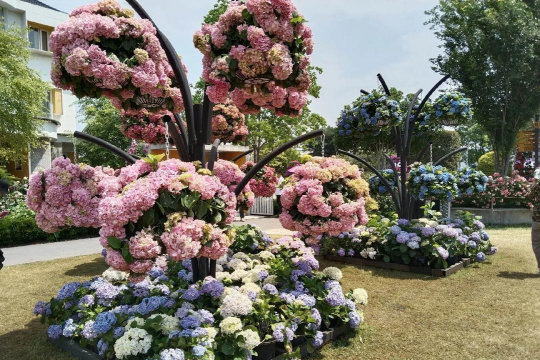 天津滨海花卉科技园，赏花好去处，亲子游玩推荐