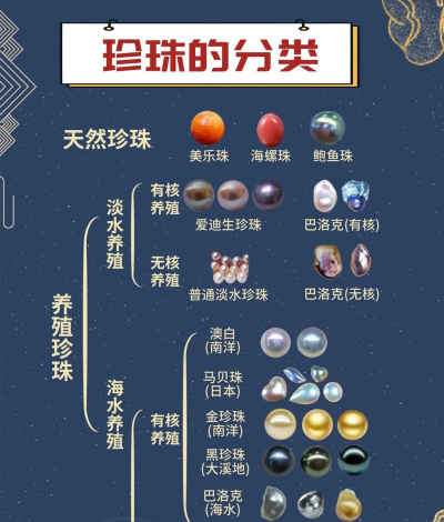 天津滨海花卉科技园，赏花好去处，亲子游玩推荐