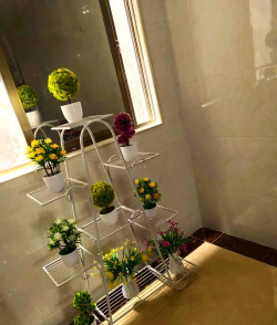 宜昌花卉市场在哪里，买花方便，品种齐全