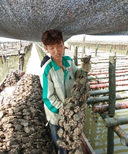 香蕉皮养花，废物利用，省钱又环保