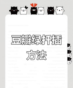 小众送妈妈的花有哪些花