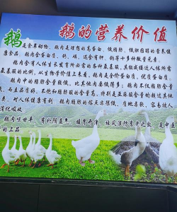 香蕉皮养花，废物利用，省钱又环保