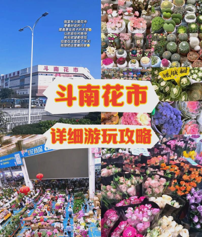 香蕉皮养花，废物利用，省钱又环保