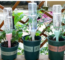 雪碧养花，给植物新活力，探索奇妙生活小妙招