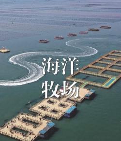 雪碧养花，给植物新活力，探索奇妙生活小妙招