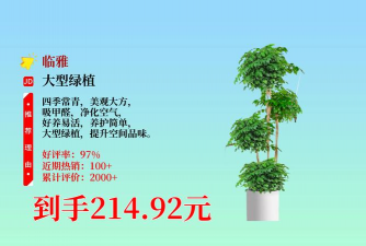 雪碧养花，给植物新活力，探索奇妙生活小妙招