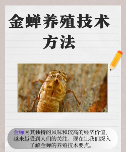 矿泉水瓶养花，废物利用，轻松打造小花园