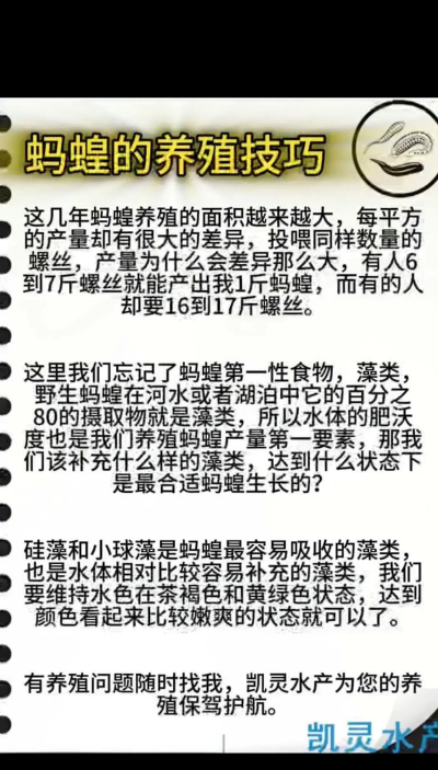 芦荟的养殖方法，轻松掌握技巧，养出健康植株