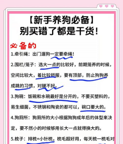 昆明斗南花卉市场价格，了解行情动态，掌握选购技巧