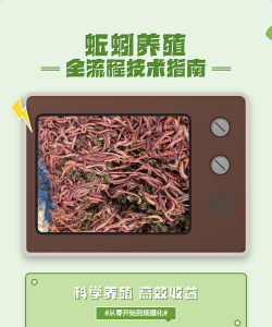 宜昌花卉市场在哪里，买花方便，品种齐全