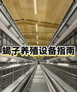 蝎子养殖，技术要点，效益分析