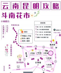 斗南花卉市场营业时间，早点去人少，晚上更热闹