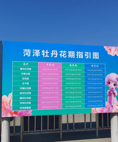 昆虫养殖，入门技巧，常见问题