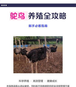 昆虫养殖，入门技巧，常见问题