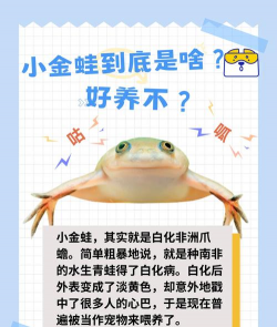 蟾蜍养殖，掌握核心方法，实现稳定增收