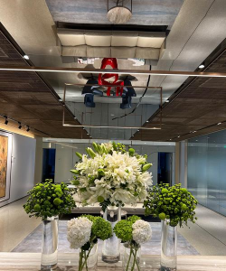 公司花卉，选对品种，提升办公氛围