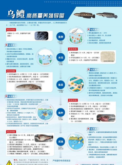 水产养殖技术，提升产量品质，掌握关键要点