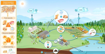 香蕉皮养花，废物利用，省钱又环保