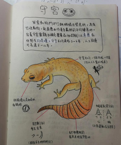 常年开花的花卉有哪些，选择适合的品种，打造四季花园