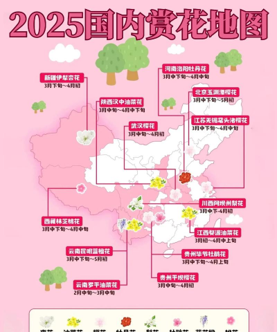 常年开花的花卉有哪些，选择适合的品种，打造四季花园