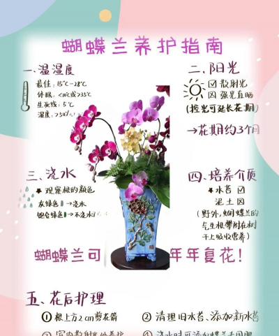 矿泉水瓶养花，废物利用，轻松打造小花园